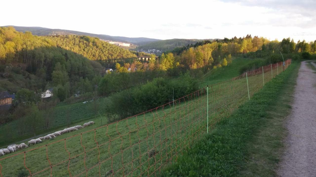 Ferienwohnung Weiss Aue  Luaran gambar